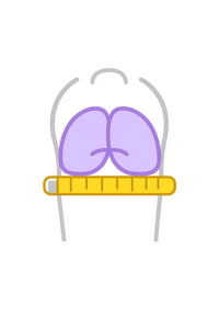 Step 1 — Underbust